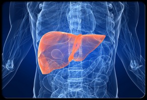 liver toxicity steroids