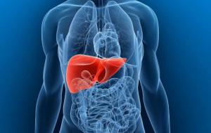 steroids and liver function