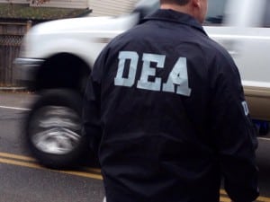 portland steroid bust