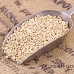 pearled barley