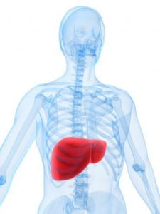 liver toxicity and steroids