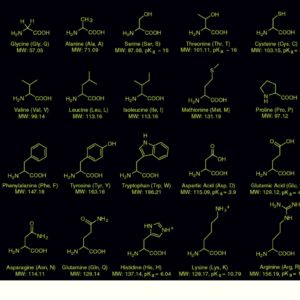 amino-acid-molecular-structures