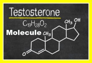 testosterone-molecules 3J PCT