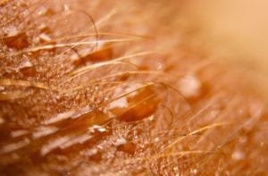 water-cutting-diet-by-3j