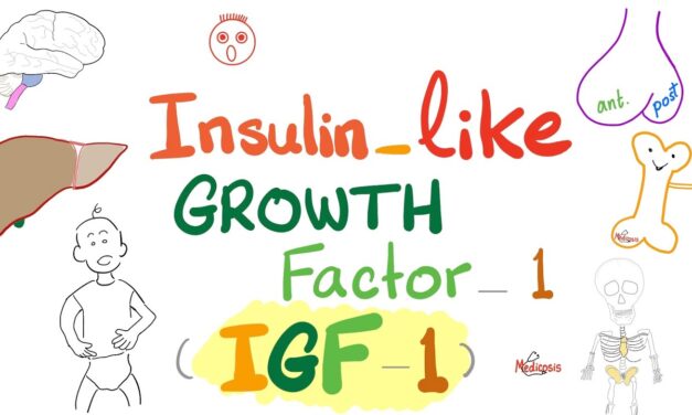 IGF 1 / Insulin-like Growth Factor 1 (somatomadin C)