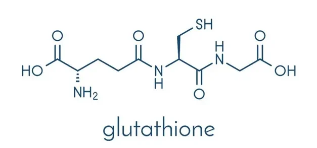 Glutathione in the body
