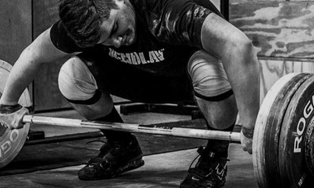 Bulldozer Weight Training System Basics