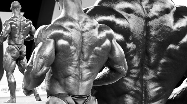 Testimonial – Triumphs and Tragedies of an Anabolic Steroid User, Part 2