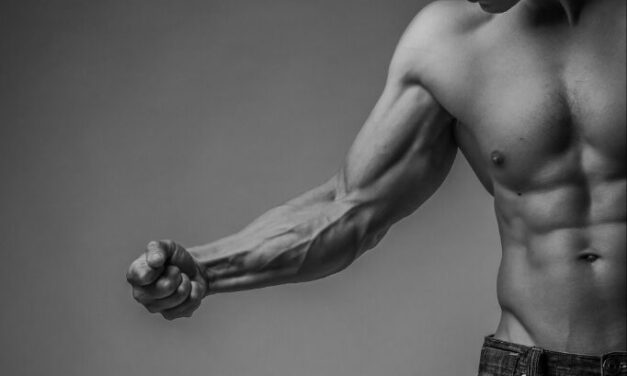 Nuts and Bolts of Steroids for Newbies