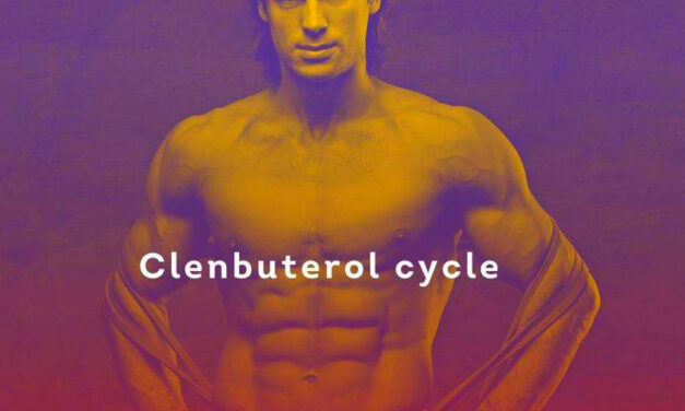 The Clenbuterol Cycle