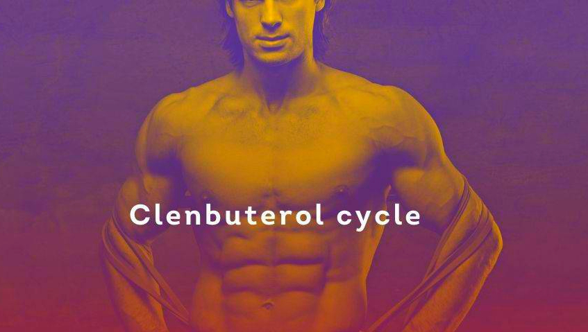- Clenbuterol cycle - Fat burner - Thermogenic effects - Weight loss - Muscle preservation - Beta-2 agonist - Cutting phase - Clenbuterol dosage - Clenbuterol results - Anabolic effects - Lean muscle - Cardiovascular strain - Clen side effects - Bronchodilator - Fat oxidation - Clenbuterol stacks - Body recomposition - Anti-catabolic - Cycle length - Performance enhancement