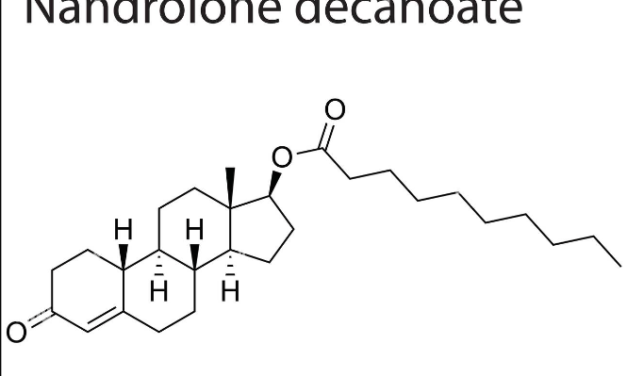 Profile: Deca-Durabolin (Nandrolone Decanoate)