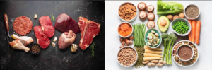 vegan bodybuilding, vegan diet, bodybuilding diet, meat-based diet, plant protein, animal protein, muscle growth, muscle hypertrophy, bodybuilding nutrition, protein intake, vegan athletes, plant-based bodybuilding, muscle building diet, strength training, sports nutrition, vegan protein, whey protein, soy protein, bodybuilding meals, muscle mass, bodybuilding nutrition plan