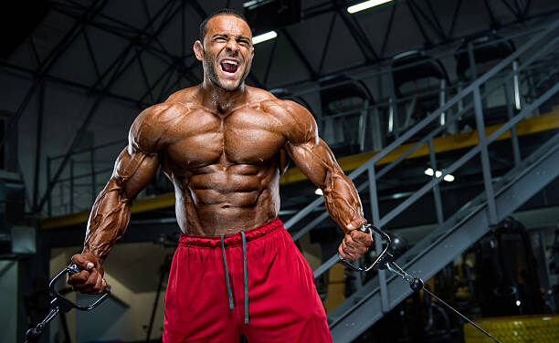 How to Lift for Size, Strength, and Endurance