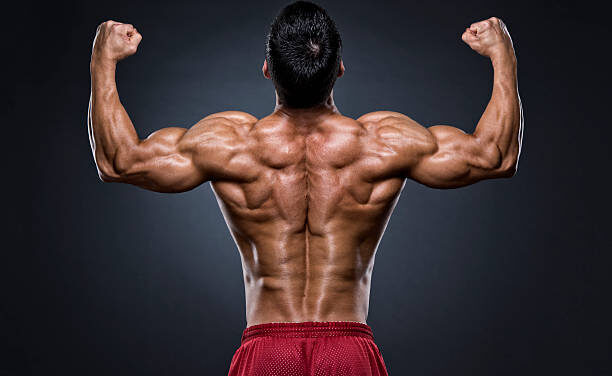 Sculpting Your Back Like the Great Bodybuilders