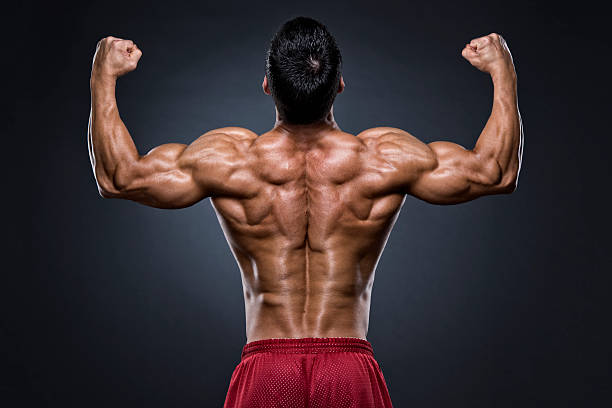 Here are **50 tag words** (comma-separated) related to **back training and bodybuilding**: back workout, lat exercises, pull-ups, deadlifts, barbell rows, T-bar rows, face pulls, lat pulldown, traps workout, rhomboid training, erector spinae, hypertrophy, muscle growth, strength training, V-taper, bodybuilding, fitness, gym, muscle definition, back day, upper back, lower back, wide back, thick back, muscle isolation, compound lifts, progressive overload, mind-muscle connection, gym motivation, back thickness, back width, lean muscle, muscle building, workout tips, advanced training, resistance training, pull day, bodybuilding back, posterior chain, Arnold Schwarzenegger, Dorian Yates, Ronnie Coleman, scapular retraction, strength gains, core stability, training intensity, volume training, iso holds, supersets, dropsets, back strength No follow-up. Just the list.