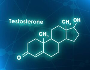 testosterone, muscle growth, strength training, hormone health, protein synthesis, testosterone booster, fitness hormones, natural testosterone, anabolic hormones, muscle mass, TRT, testosterone therapy, strength gains, resistance training, men’s health, women’s fitness, fat loss, lean muscle, satellite cells, workout recovery, gym performance, weightlifting, hormone balance, muscle recovery, training hormones, muscle building, testosterone levels, testosterone benefits, test boosters, healthy testosterone, bodybuilding, fitness tips, hormone optimization, testosterone diet, healthy fats, zinc, vitamin D, testosterone facts, testosterone myths, low testosterone, hormone therapy, muscle development, testosterone support, energy levels, hormone science, stress and hormones, cortisol, sleep and recovery, male hormones, female hormones