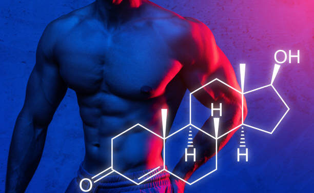 Testosterone: The MVP of Muscle Growth