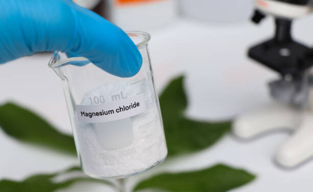 The Role of Magnesium Chloride in Bodybuilding